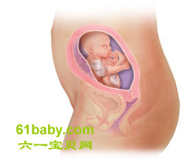 怀孕第21周胎儿发育情况图片