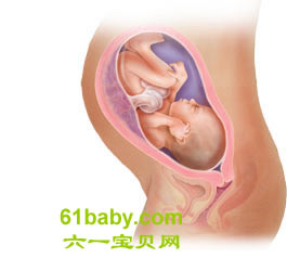 怀孕第32周胎儿发育情况图片