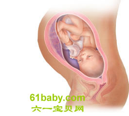怀孕第35周胎儿发育情况图片